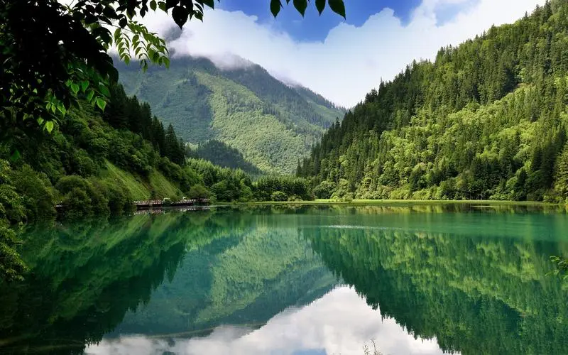 绿色高效